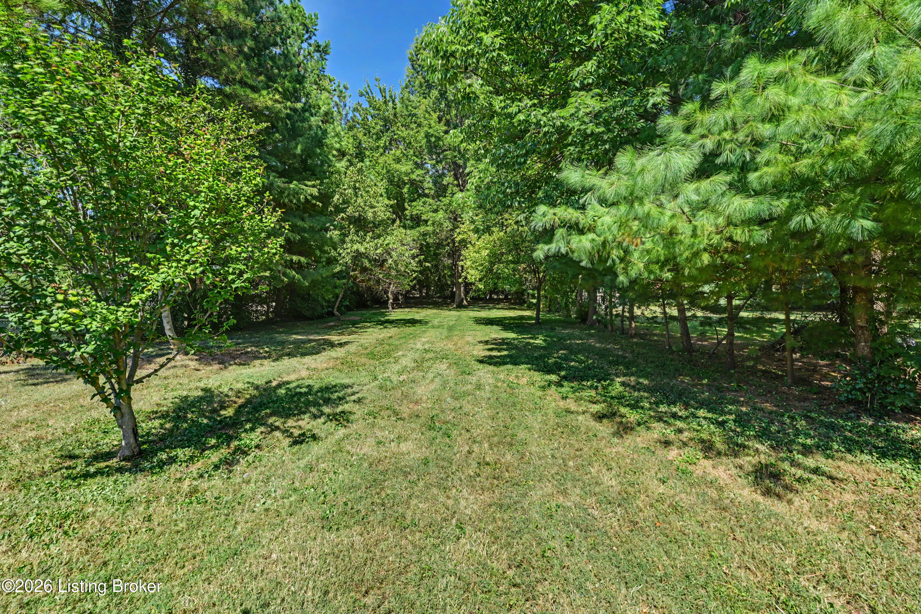 8911 Acushnet Road Louisville, KY 40242 - Photo 35 of 44 Huge Backyard
