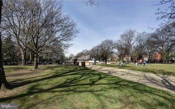 a big yard with lots of trees and plants