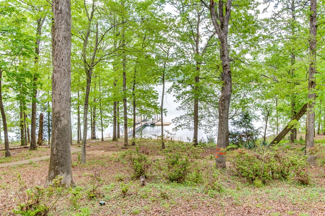 341 Forest Cove Road Anderson, SC 29626 - Photo 42 of 47 Gallery Image 42