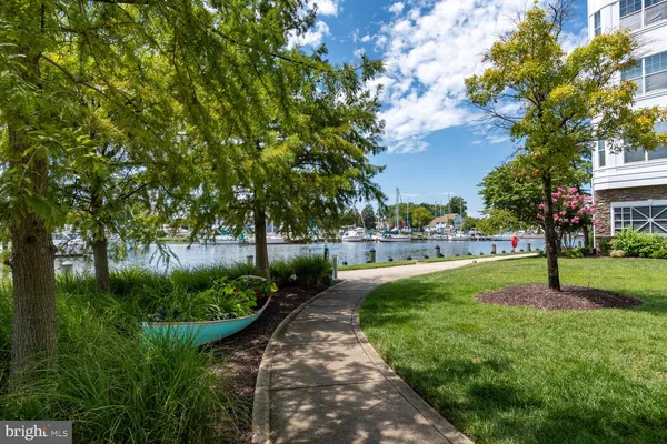 a view of a park with large trees