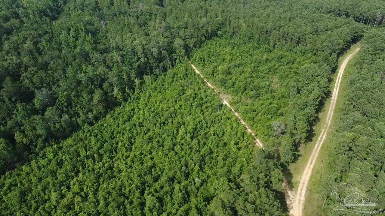 41 Brewton Al Brewton, AL 36426 - Photo 11 of 19