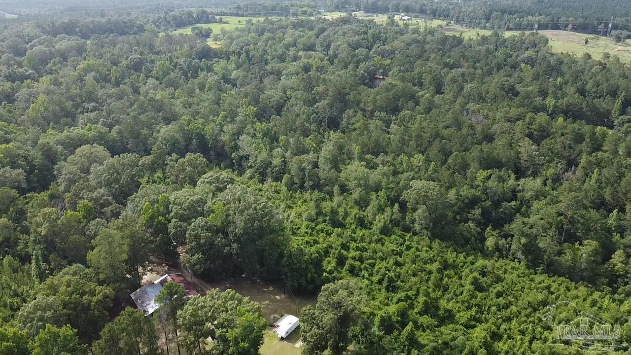 41 Brewton Al Brewton, AL 36426 - Photo 12 of 19