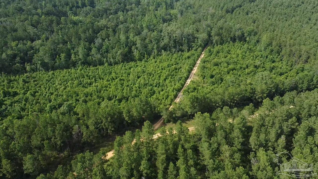 41 Brewton Al Brewton, AL 36426 - Photo 13 of 19