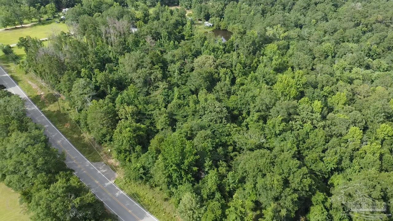 41 Brewton Al Brewton, AL 36426 - Photo 15 of 19