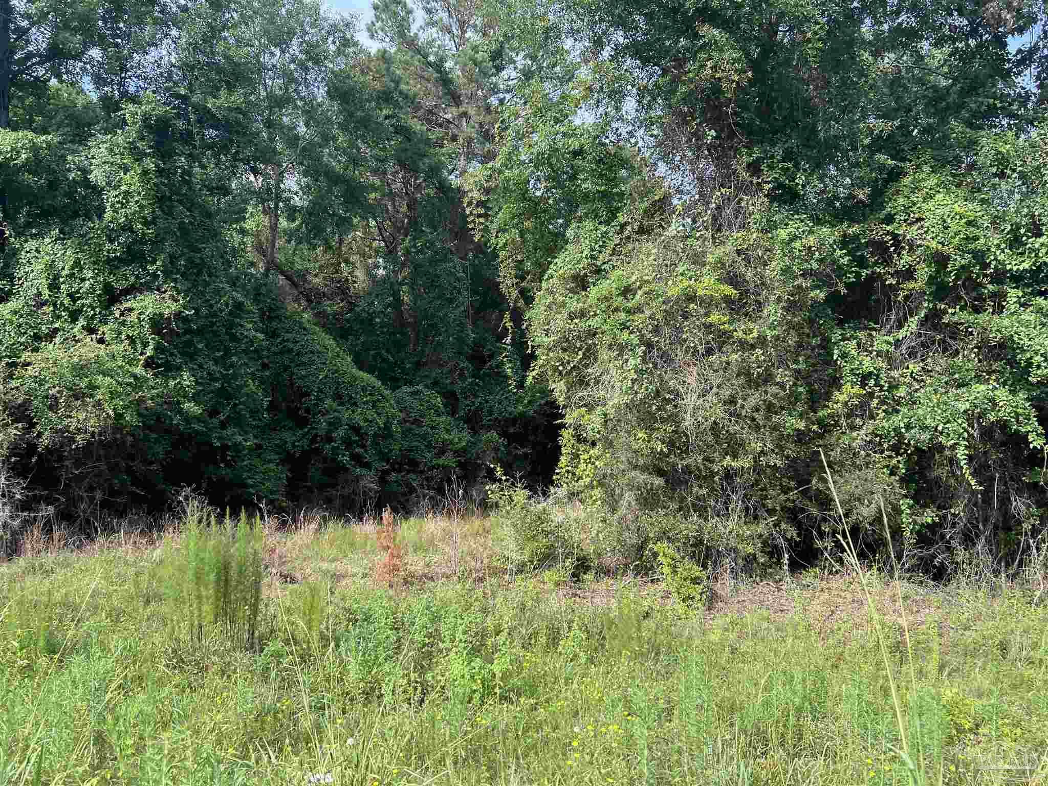 41 Brewton Al Brewton, AL 36426 - Photo 16 of 19