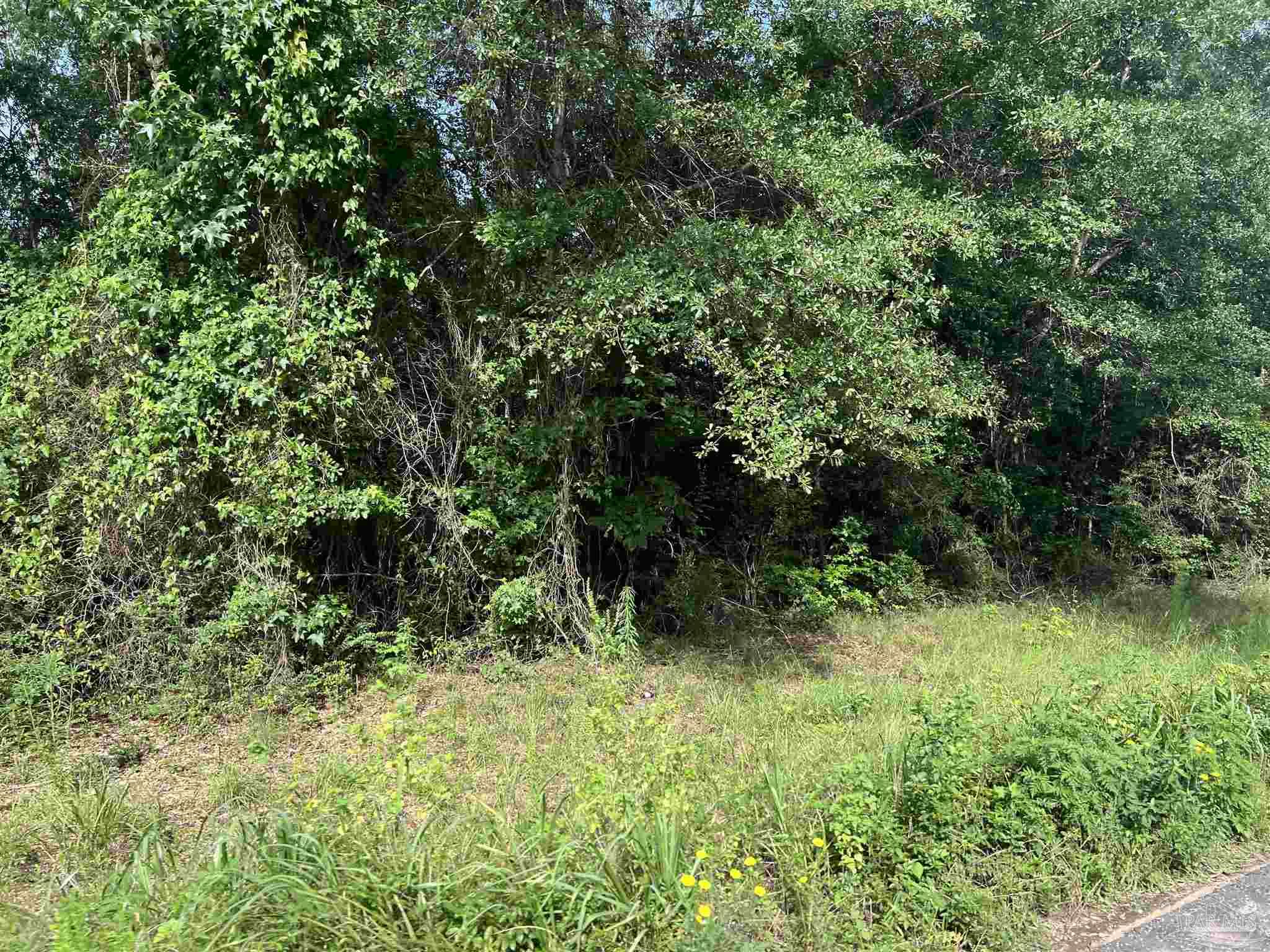 41 Brewton Al Brewton, AL 36426 - Photo 17 of 19