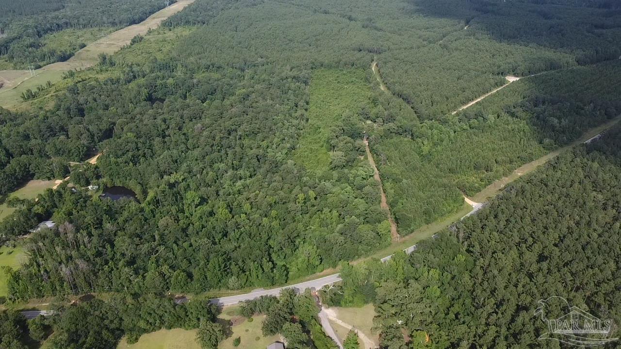 41 Brewton Al Brewton, AL 36426 - Photo 2 of 19