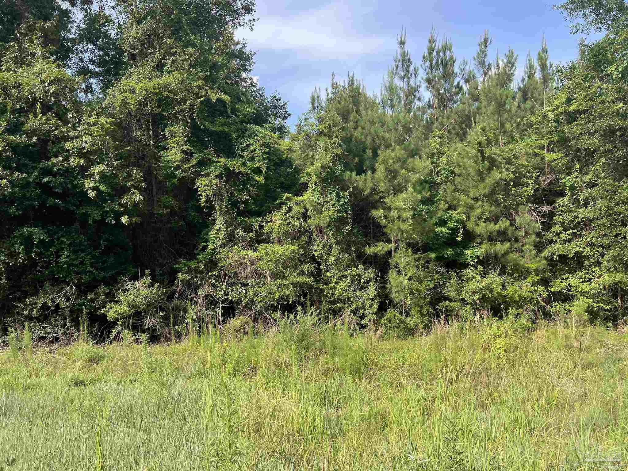 41 Brewton Al Brewton, AL 36426 - Photo 4 of 19