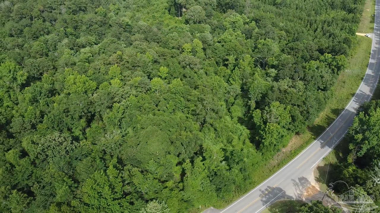 41 Brewton Al Brewton, AL 36426 - Photo 6 of 19