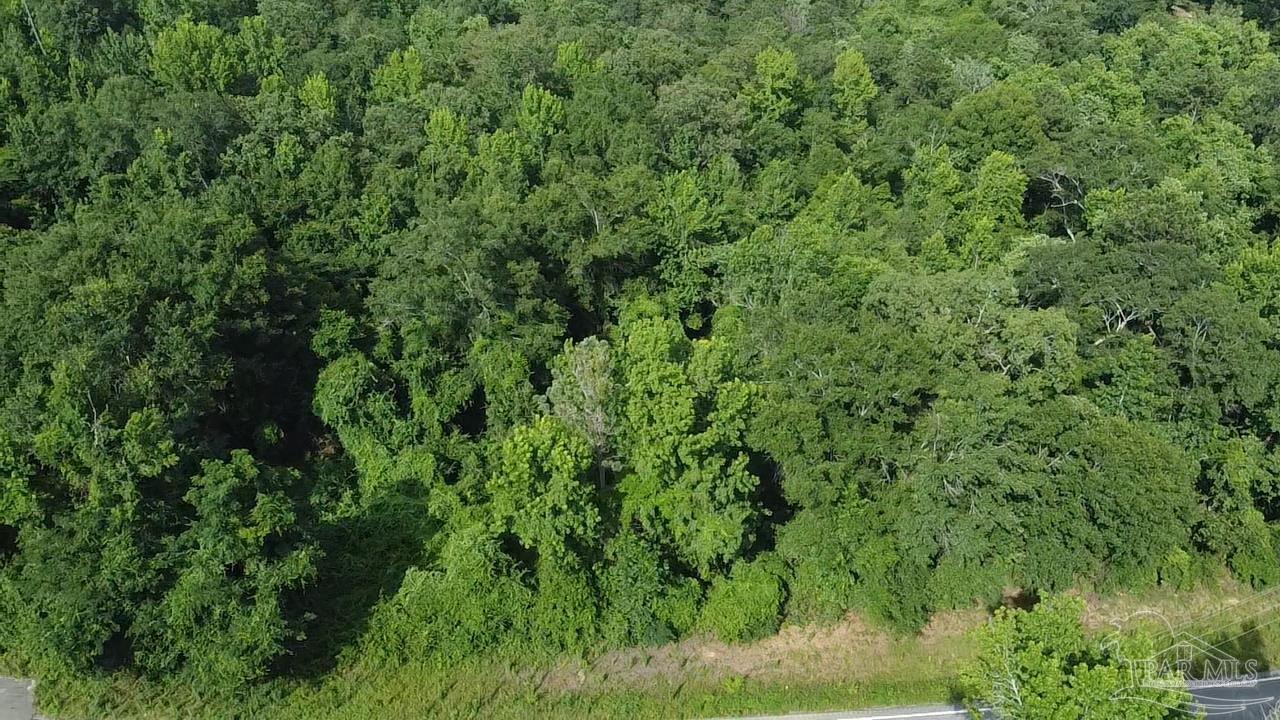 41 Brewton Al Brewton, AL 36426 - Photo 7 of 19