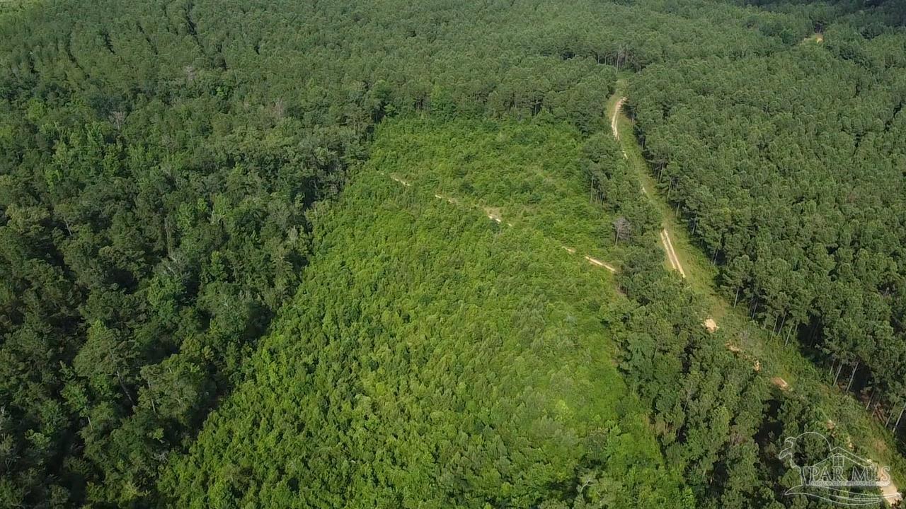 41 Brewton Al Brewton, AL 36426 - Photo 9 of 19