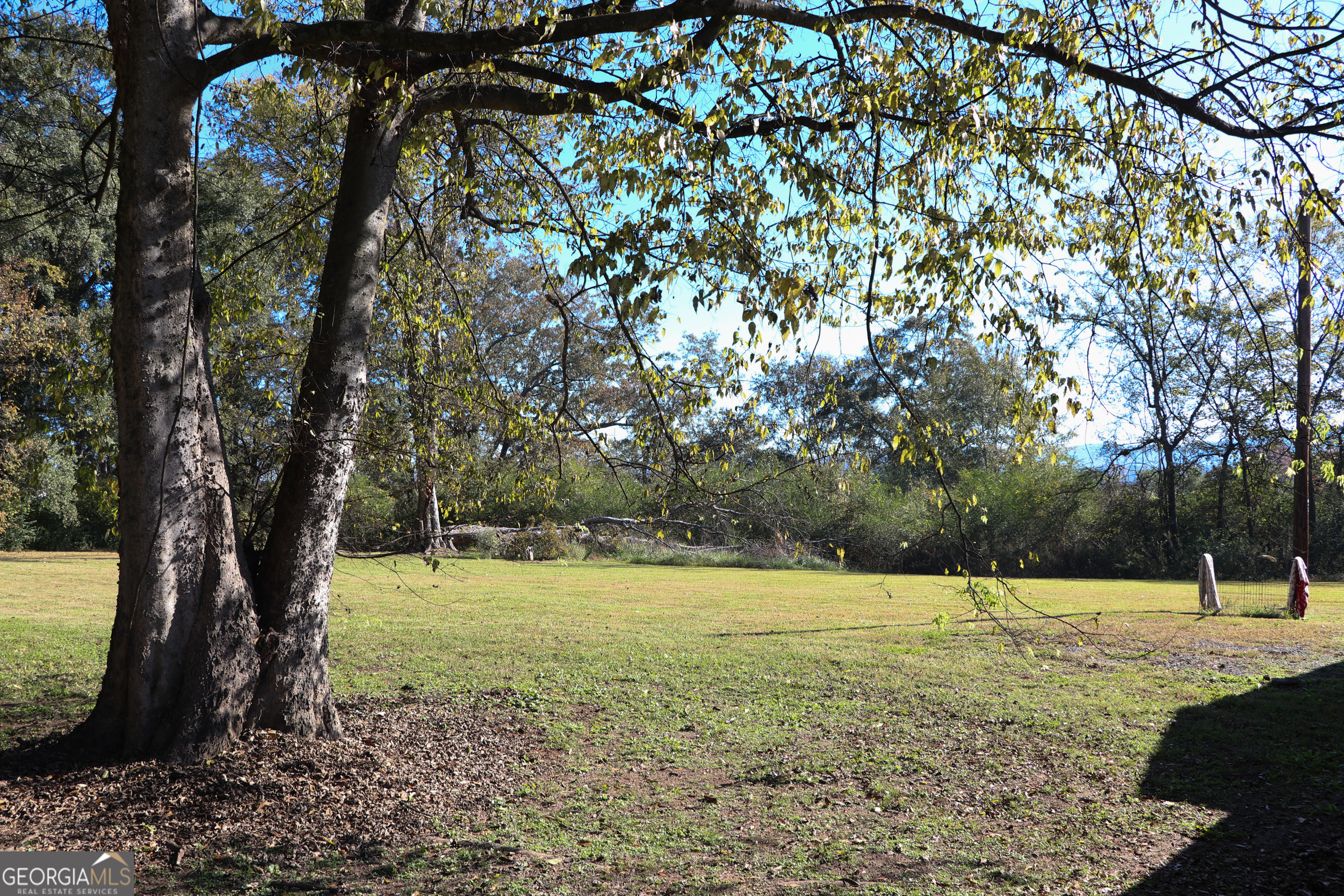 441 Lyerly Dam Road Lyerly, GA 30730 - Photo 14 of 80 a view of a yard with a tree