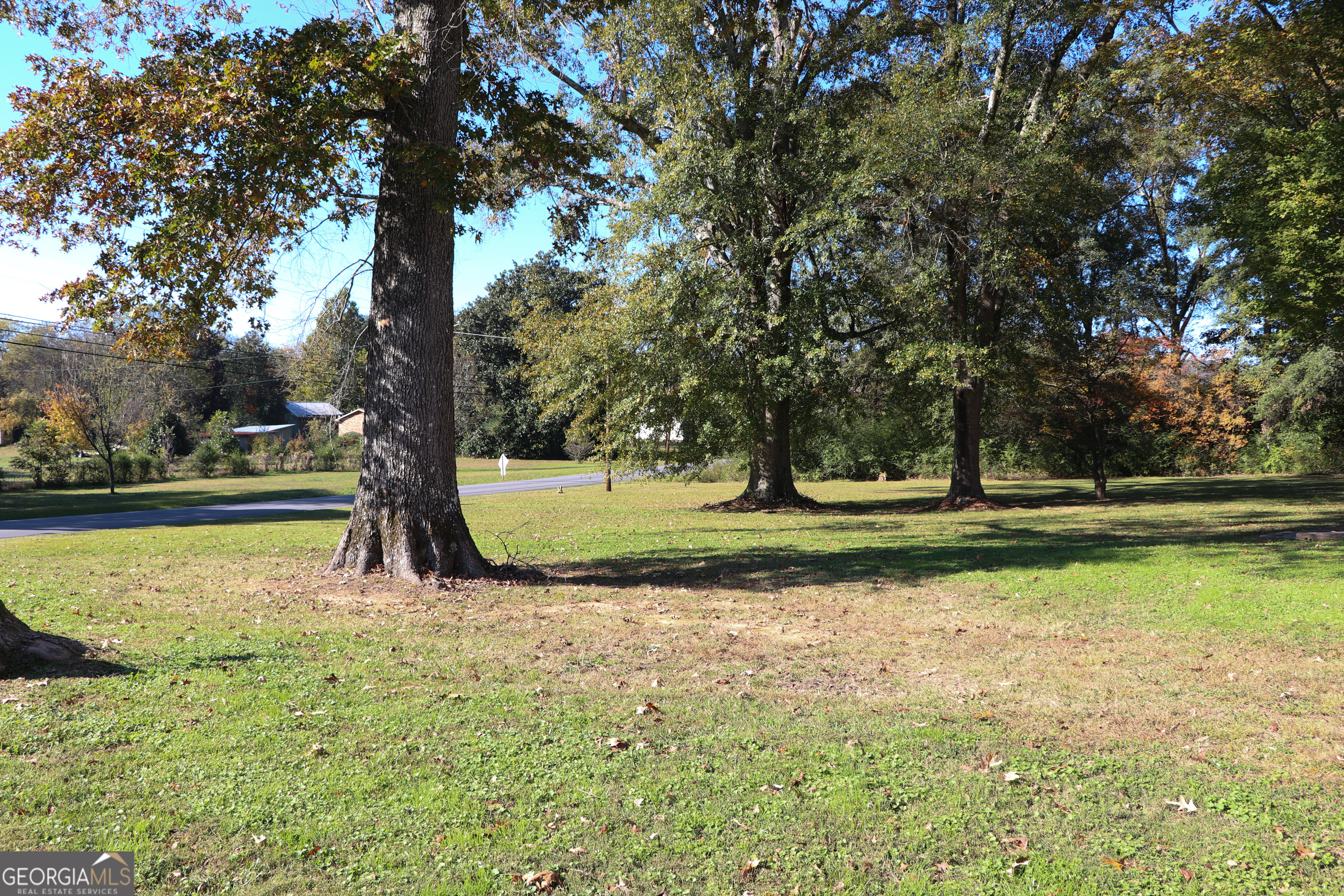 441 Lyerly Dam Road Lyerly, GA 30730 - Photo 17 of 80 a view of a tree in a park