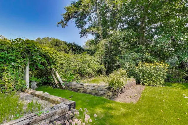 a view of yard with green space