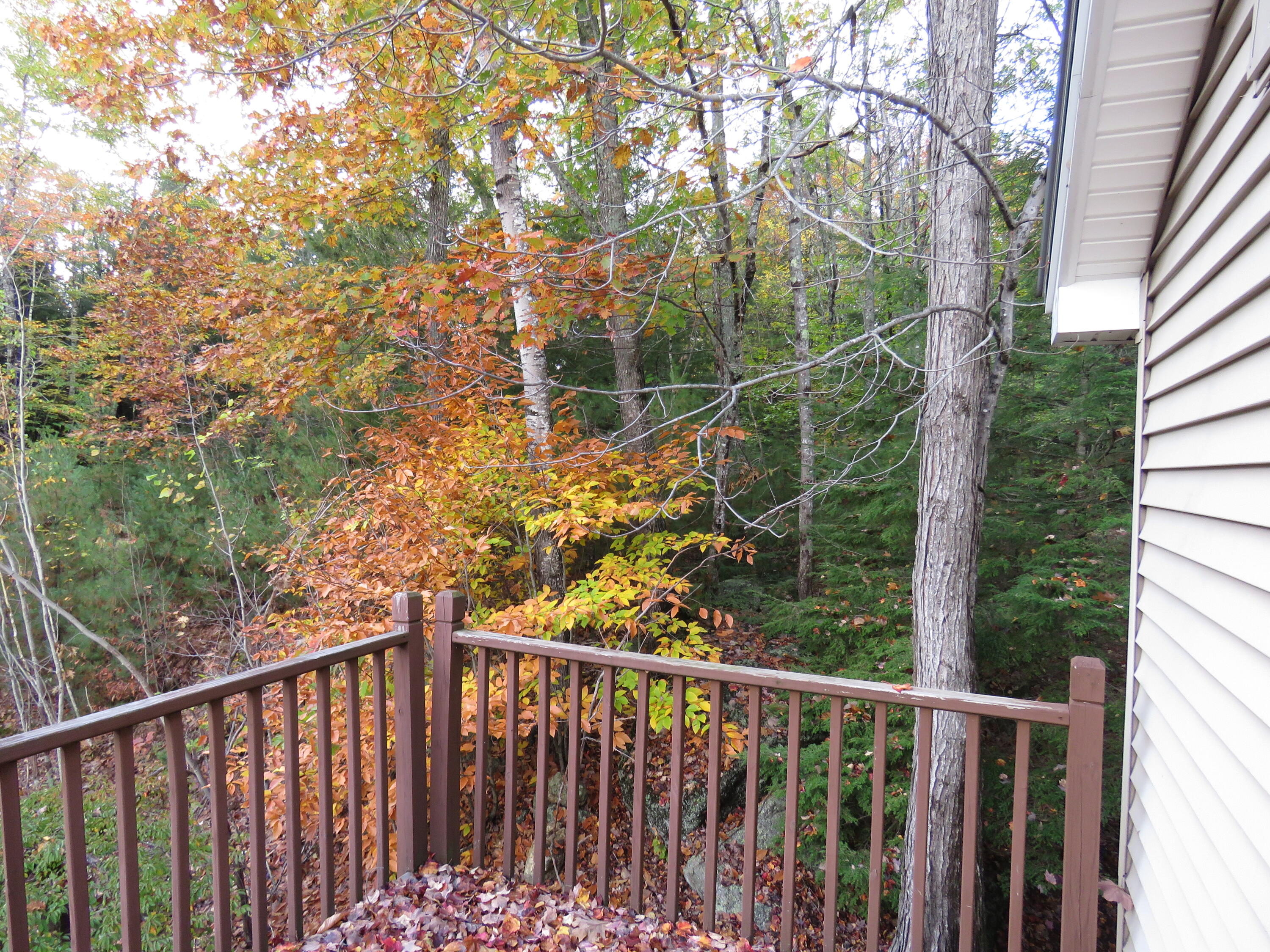 85 Ramsdell Road Hebron, ME 04238 - Photo 24 of 36 IMG_3477