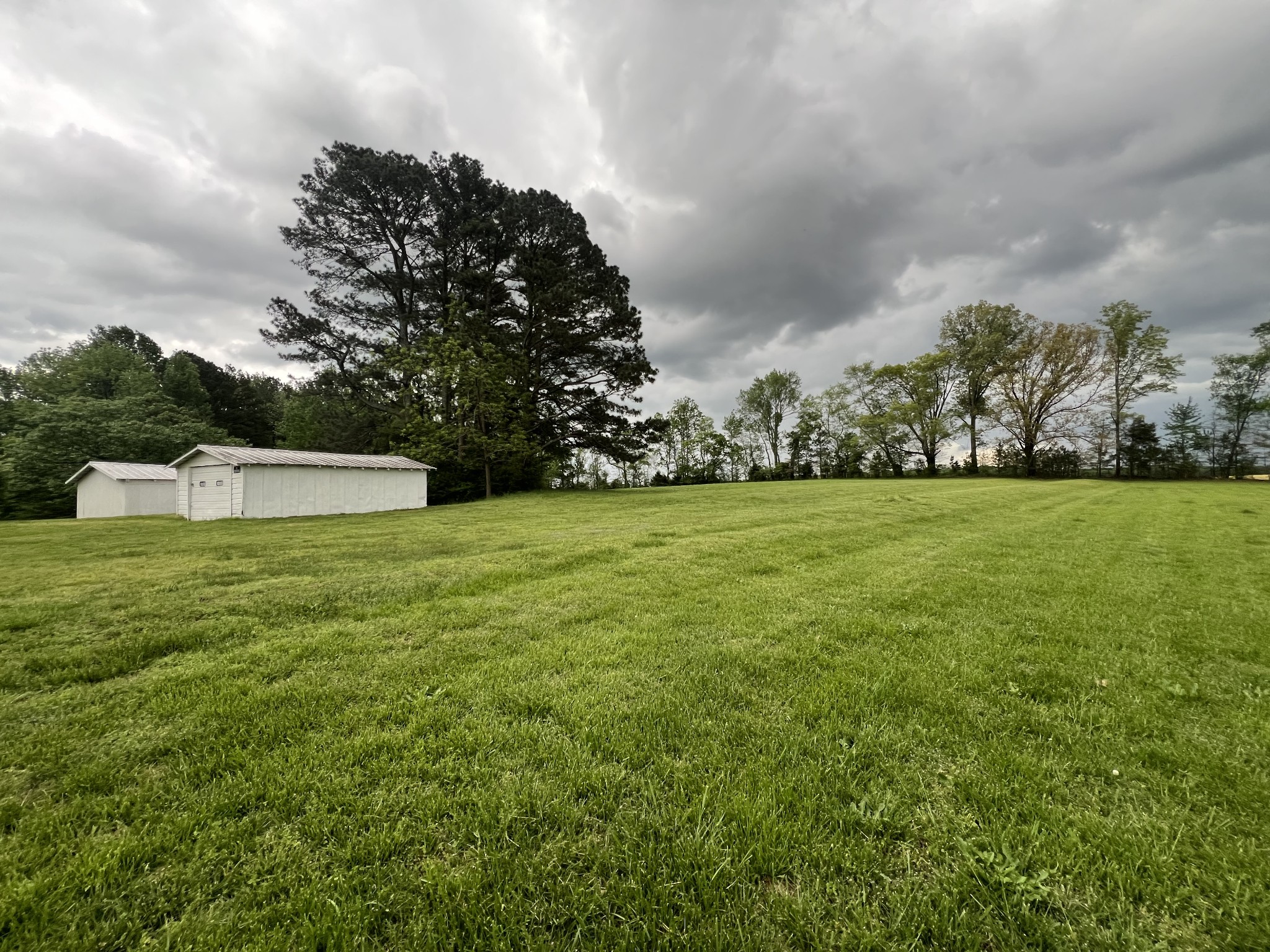 297 Appleton Road Five Points, TN 38457 - Photo 14 of 44 a view of a field of grass and trees