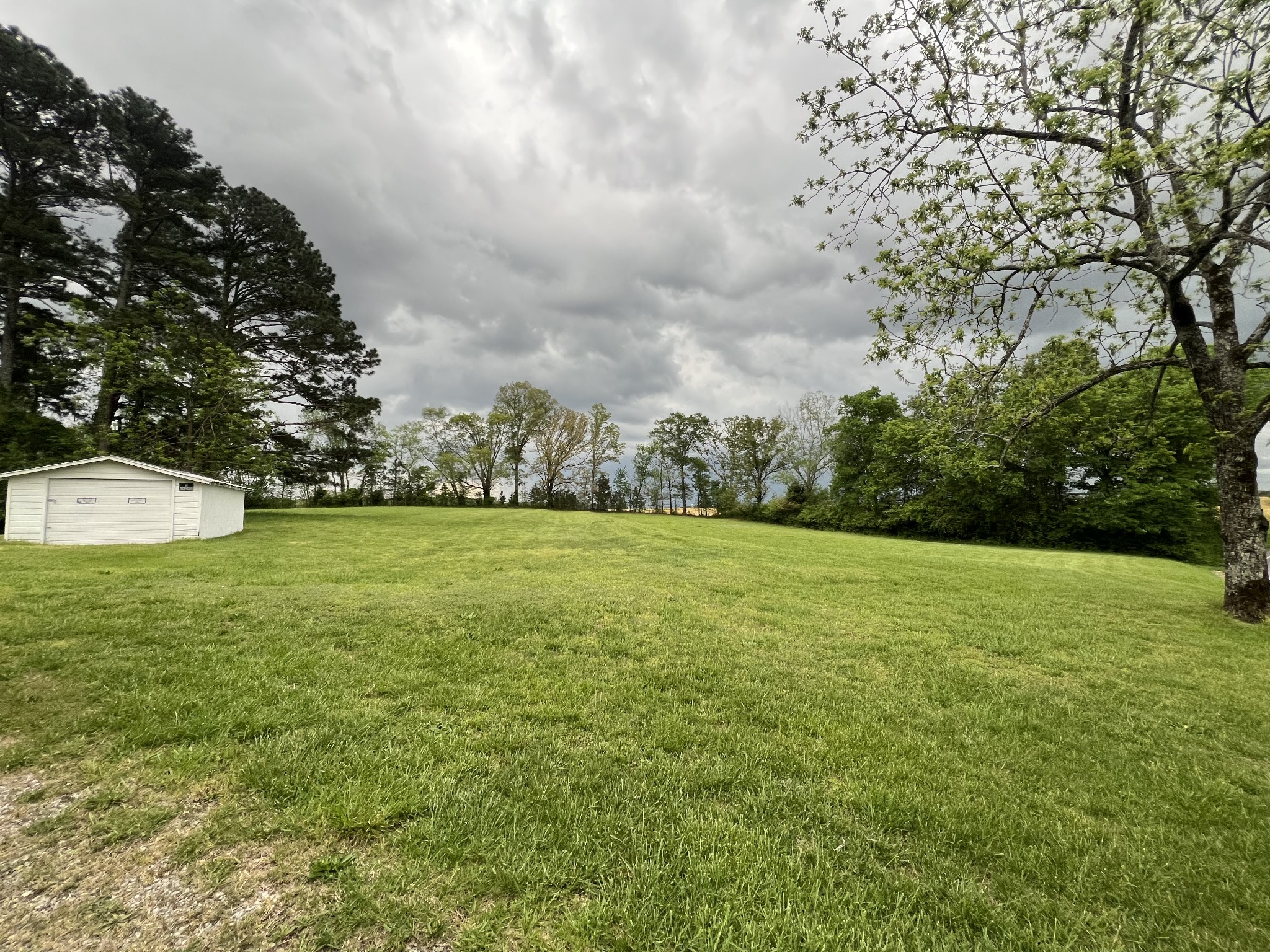 297 Appleton Road Five Points, TN 38457 - Photo 15 of 44 a view of outdoor space and yard