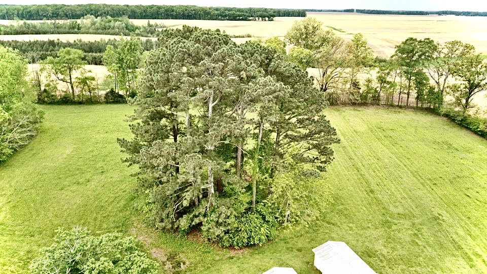 297 Appleton Road Five Points, TN 38457 - Photo 39 of 44 a view of a yard with an outdoor space