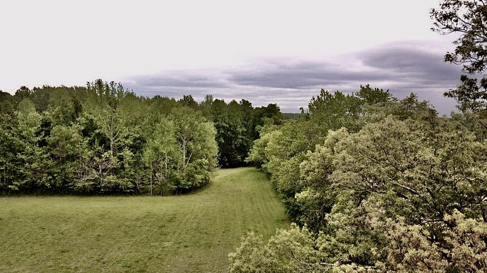 297 Appleton Road Five Points, TN 38457 - Photo 42 of 44 a view of a yard