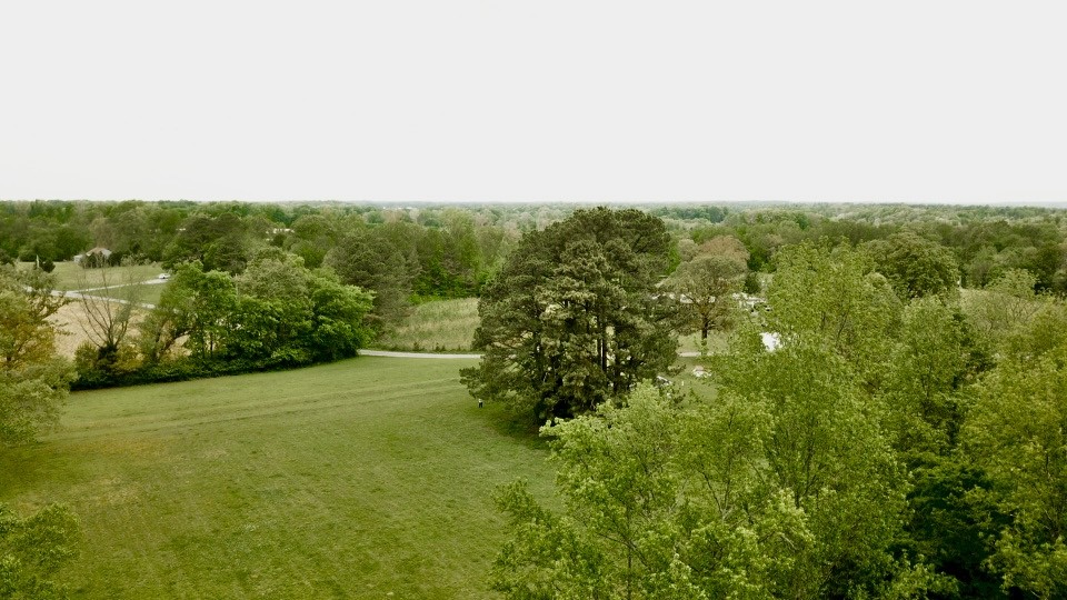 297 Appleton Road Five Points, TN 38457 - Photo 44 of 44 a view of a big yard with green space