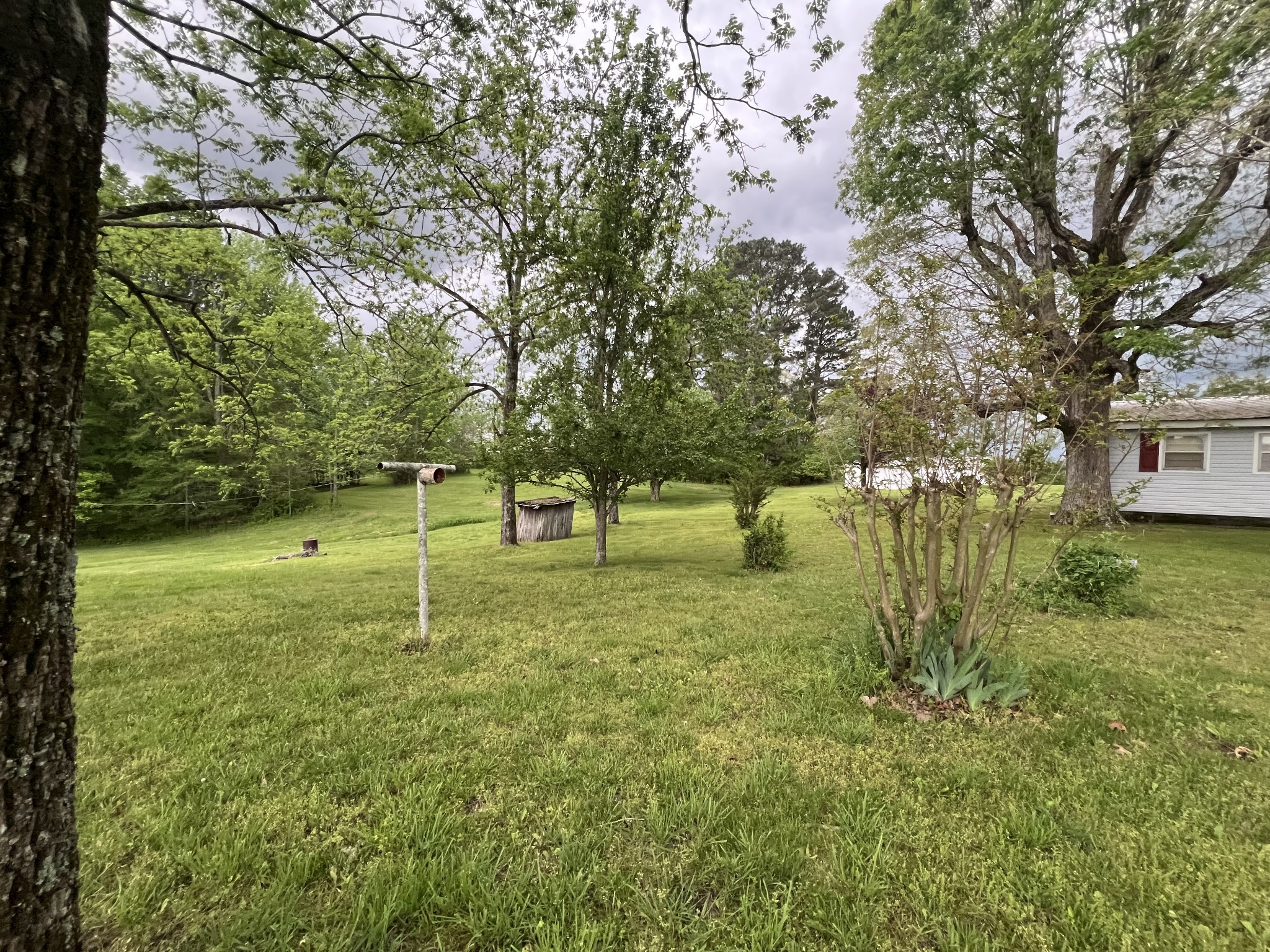297 Appleton Road Five Points, TN 38457 - Photo 5 of 44 a view of a house with a backyard