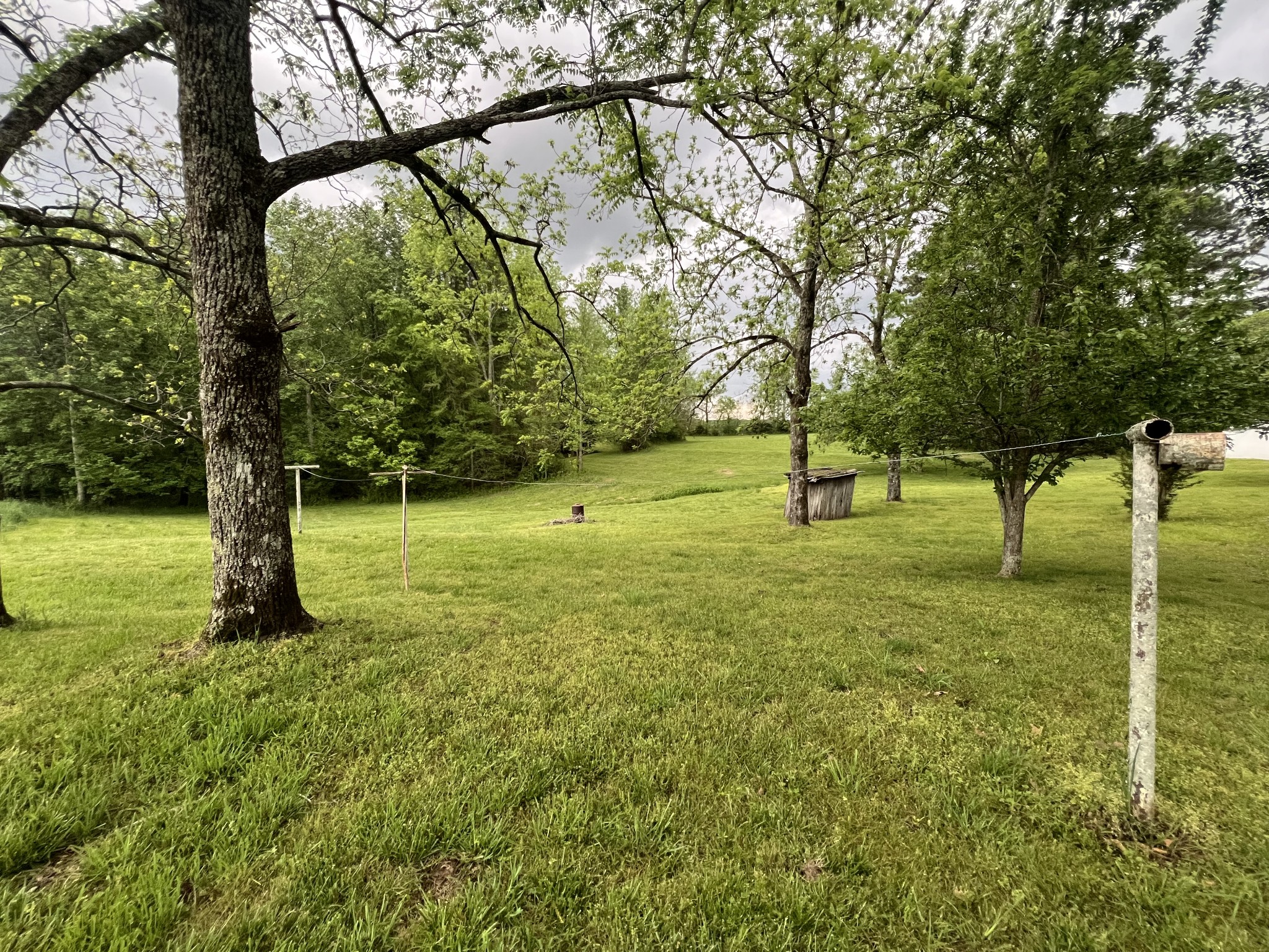 297 Appleton Road Five Points, TN 38457 - Photo 6 of 44 a view of outdoor space with a garden