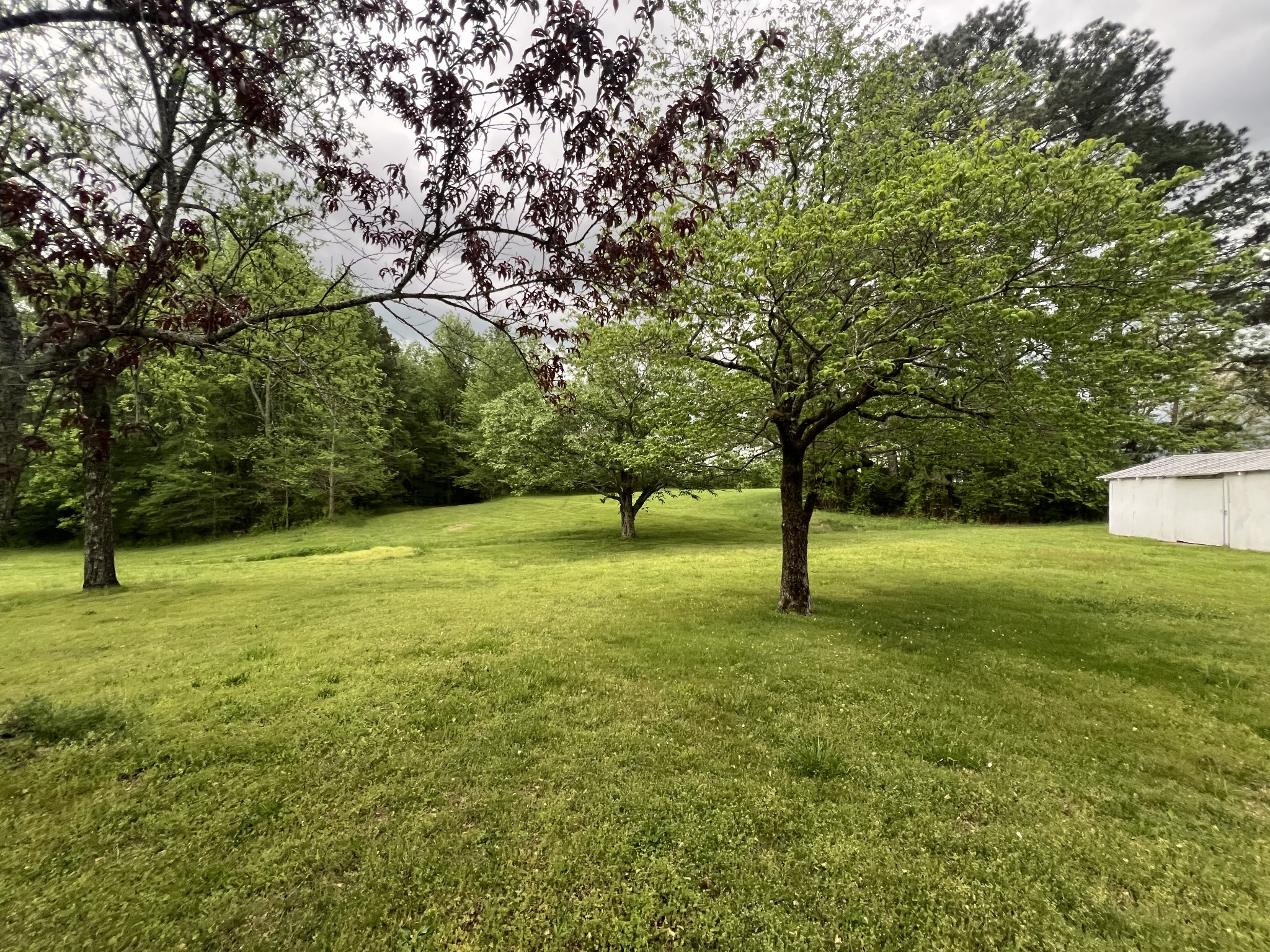 297 Appleton Road Five Points, TN 38457 - Photo 8 of 44 a huge green field with lots of trees