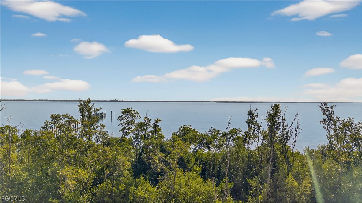 440 Useppa Island Bokeelia, FL 33922 - Photo 9 of 25