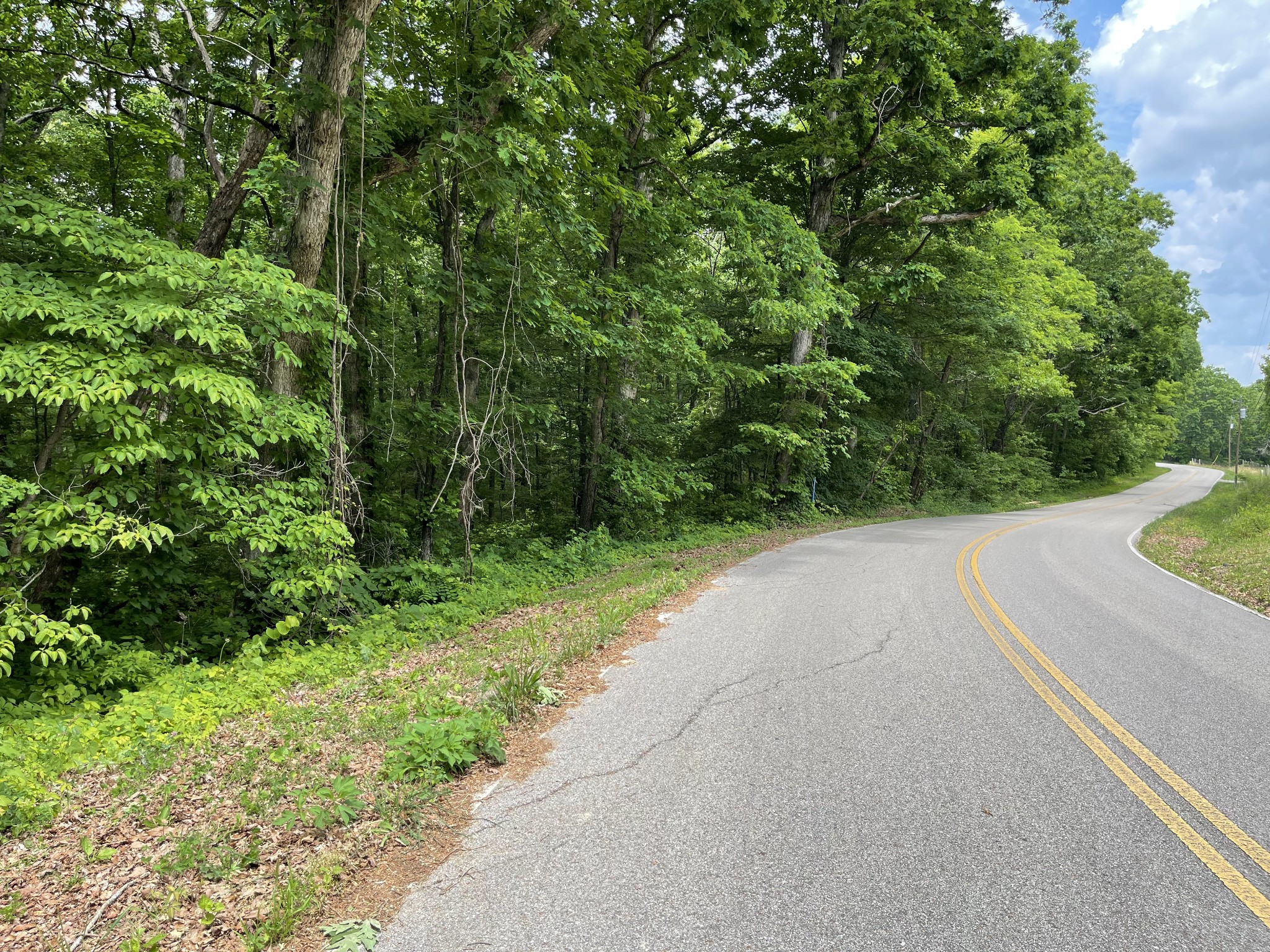 328 James Turner Road Tracy City, TN 37387 - Photo 2 of 16