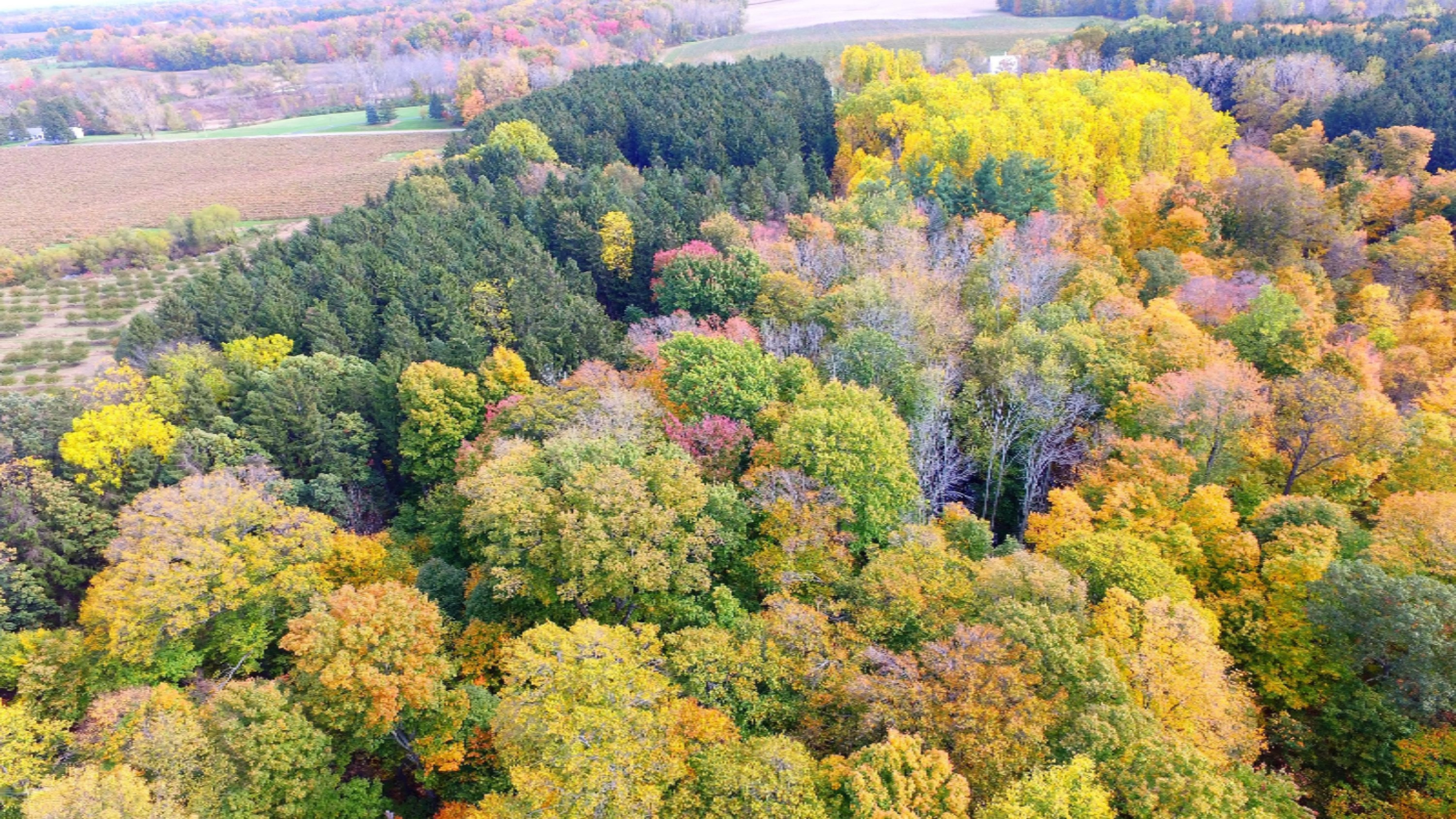 Burgoyne Road Buchanan, MI 49107 - Photo 2 of 11 1