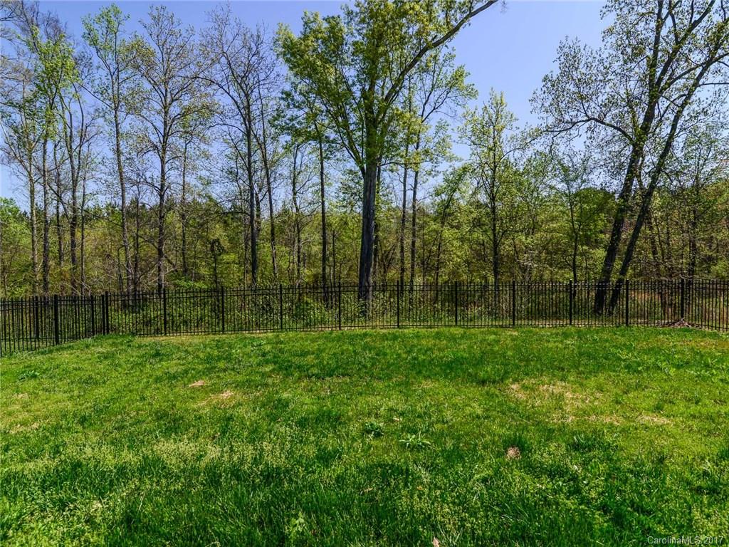 15731 Kiser Corner Lane Davidson, NC 28036 - Photo 18 of 24 a view of backyard with green space