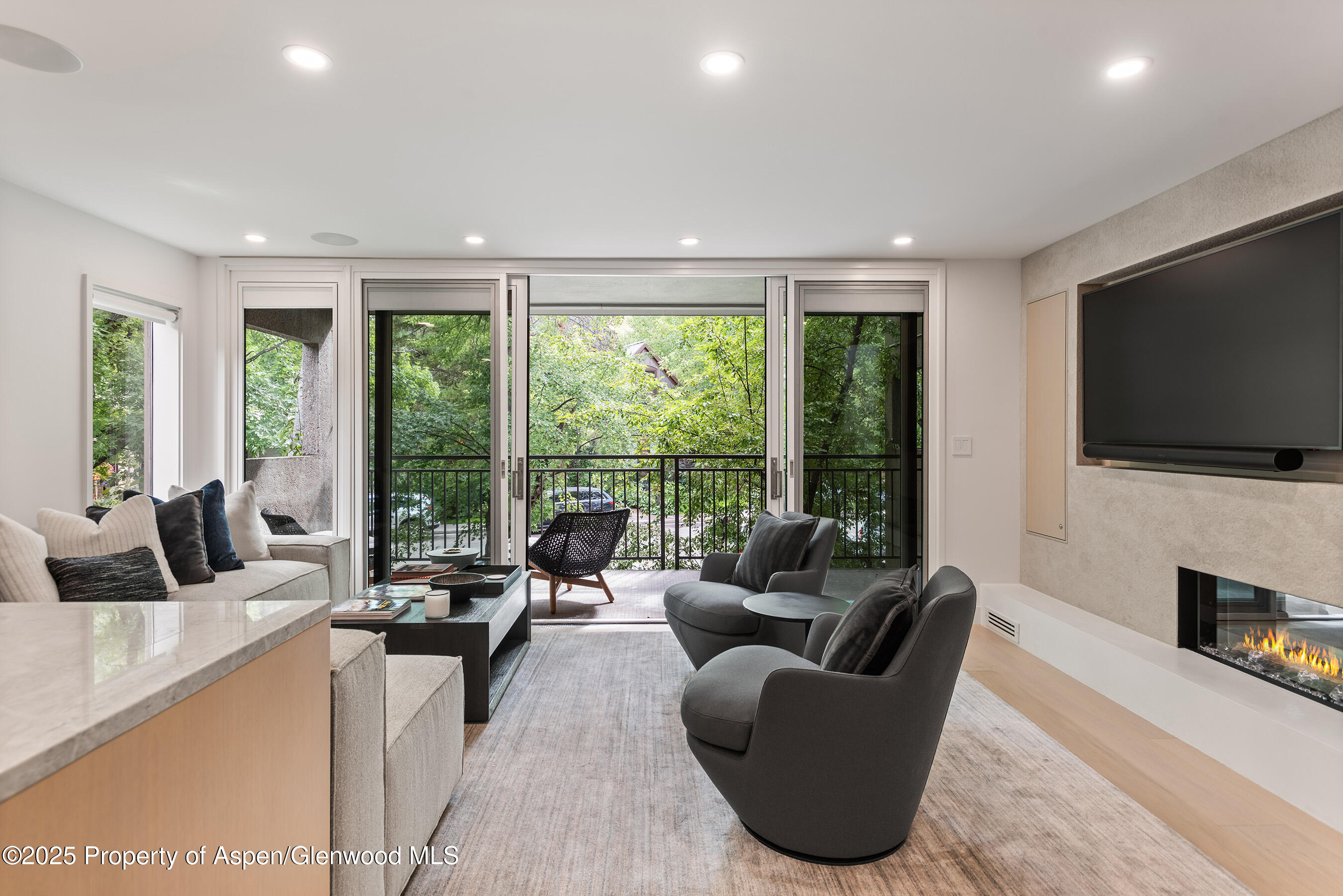 800 East Hopkins Avenue, Unit B5 Aspen, CO 81611 - Photo 2 of 29 a living room with fireplace furniture and a flat screen tv