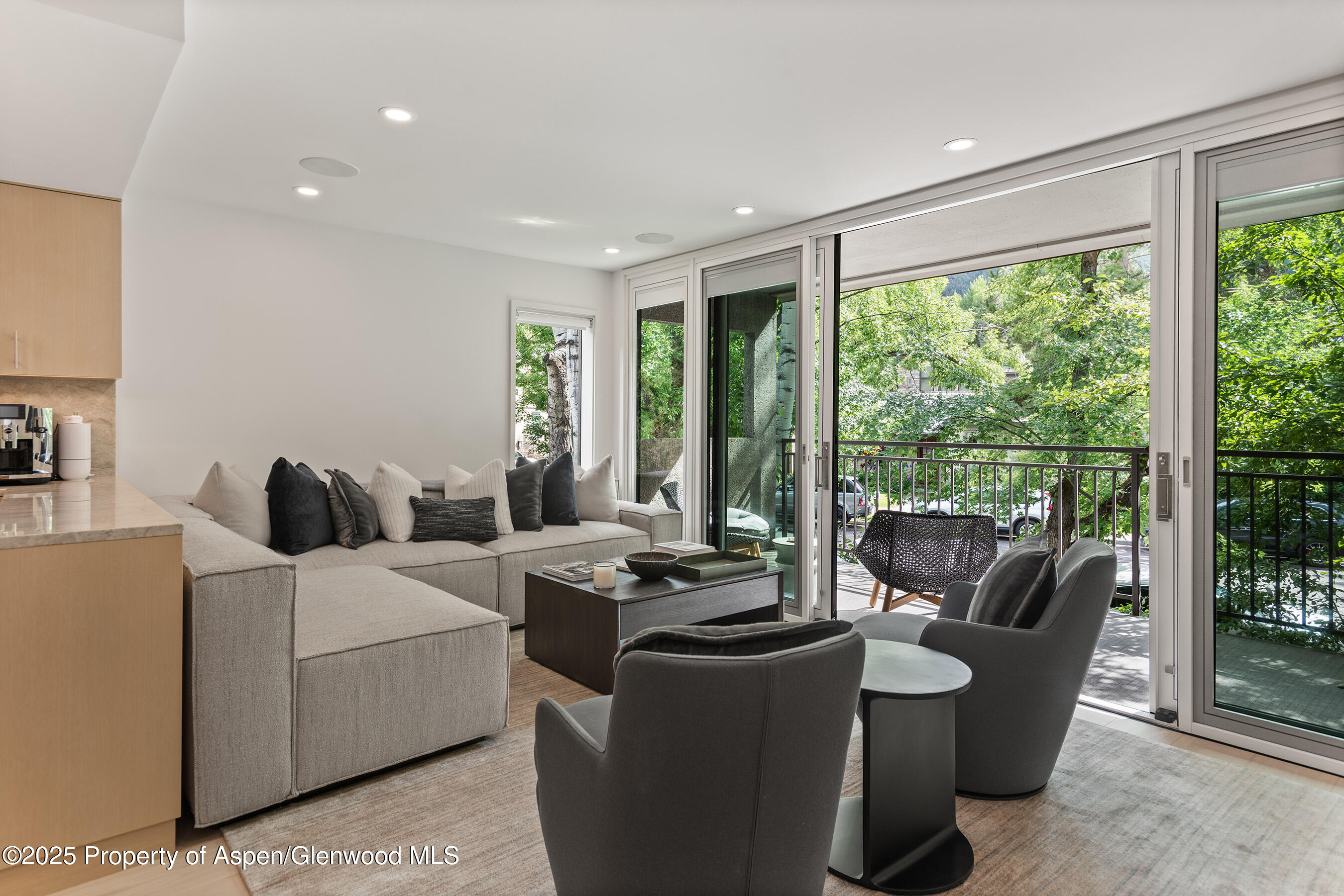 800 East Hopkins Avenue, Unit B5 Aspen, CO 81611 - Photo 7 of 29 a living room with furniture and a floor to ceiling window