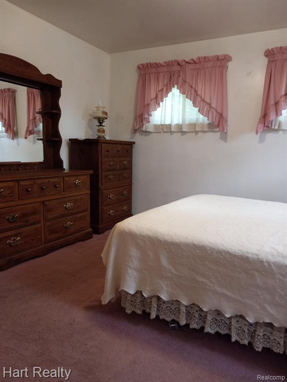 6105 Lynd Road Marlette, MI 48453 - Photo 25 of 45