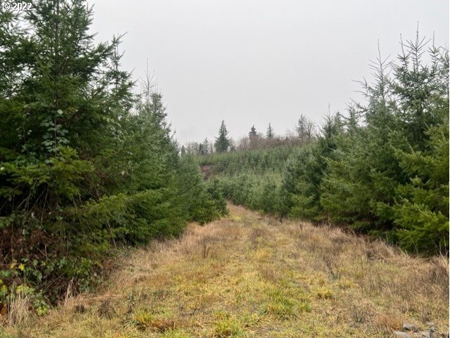 Walker Road Rainier, OR 97048 - Photo 15 of 15