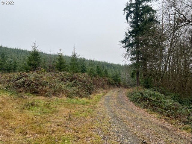 Walker Road Rainier, OR 97048 - Photo 7 of 15