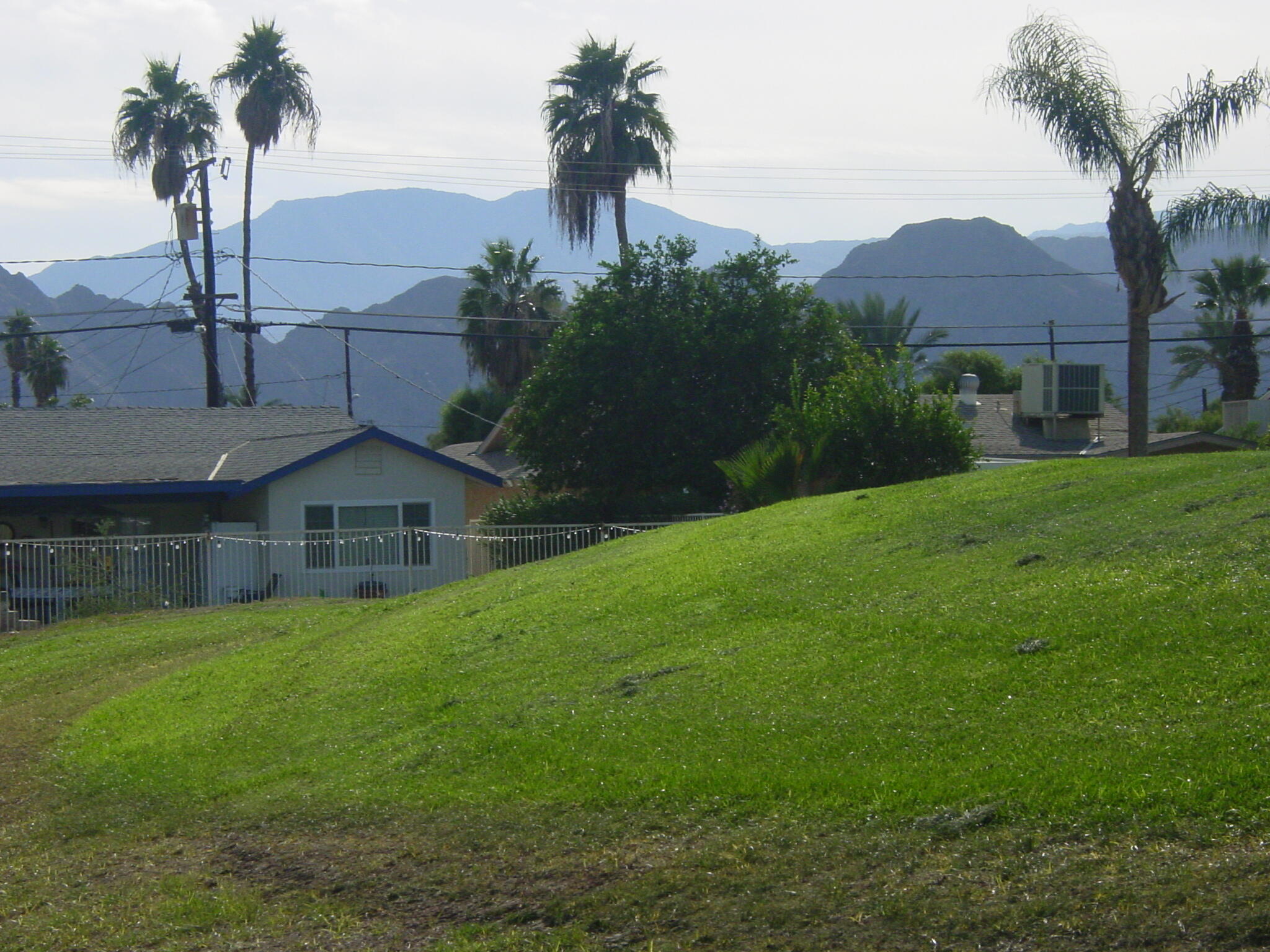 42375 Warner Trail Palm Desert, CA 92211 - Photo 26 of 33 a view of a garden with a house