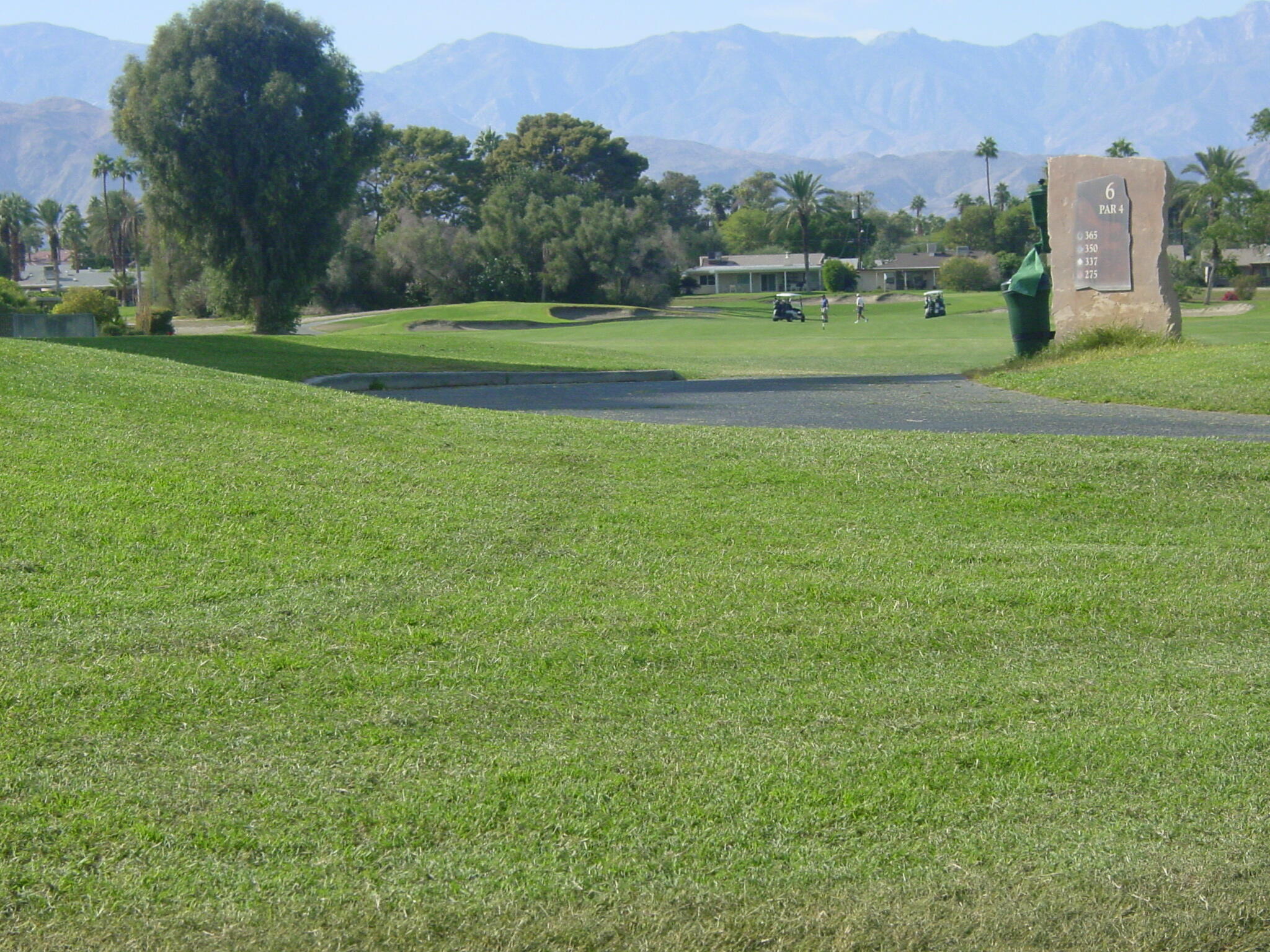 42375 Warner Trail Palm Desert, CA 92211 - Photo 27 of 33 a view of a big yard with a large trees