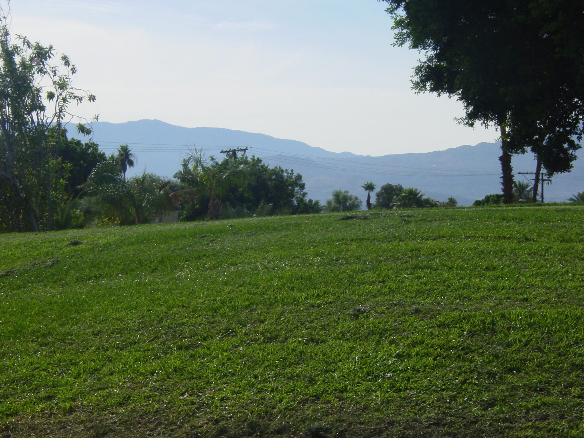 42375 Warner Trail Palm Desert, CA 92211 - Photo 28 of 33 a view of a lush green mountain