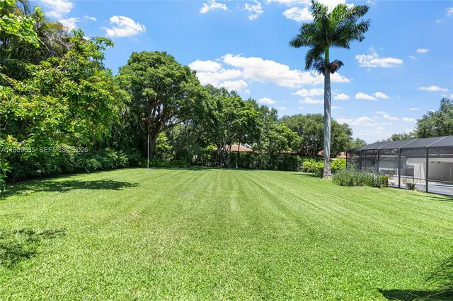 a view of a backyard with plants and large tree
