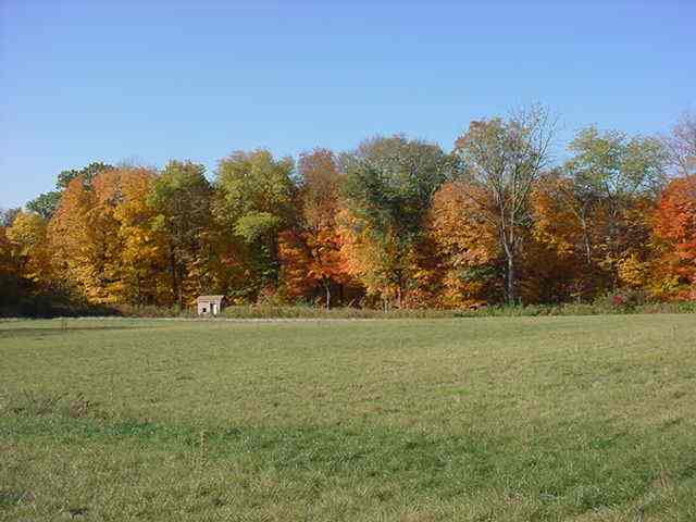25871 Angel Ferry Road Geneseo, IL 61254 - Photo 1 of 9 Gallery Image 1