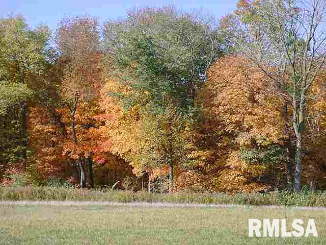 25871 Angel Ferry Road Geneseo, IL 61254 - Photo 4 of 9 Gallery Image 4