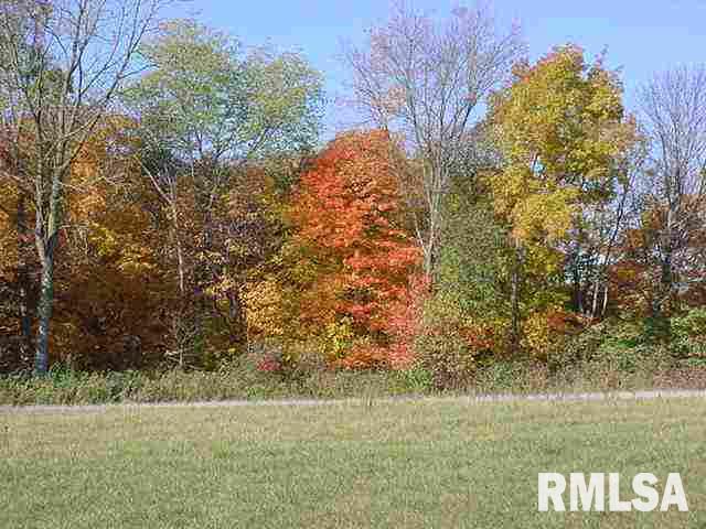 25871 Angel Ferry Road Geneseo, IL 61254 - Photo 5 of 9 Gallery Image 5