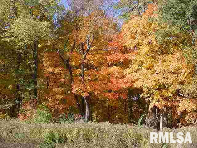 25871 Angel Ferry Road Geneseo, IL 61254 - Photo 6 of 9 Gallery Image 6