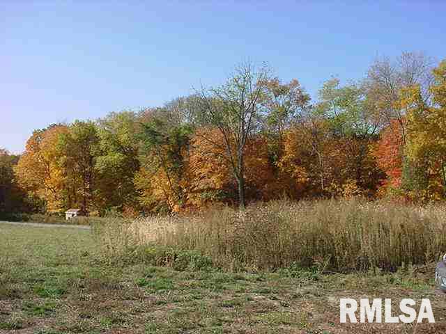 25871 Angel Ferry Road Geneseo, IL 61254 - Photo 9 of 9 Gallery Image 9