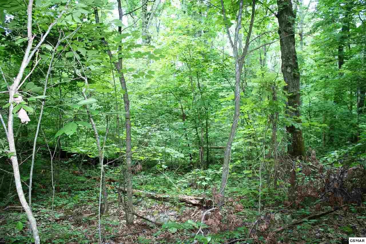 0 Collier Loop Dandridge, TN 37725 - Photo 23 of 35 Gallery Image 23