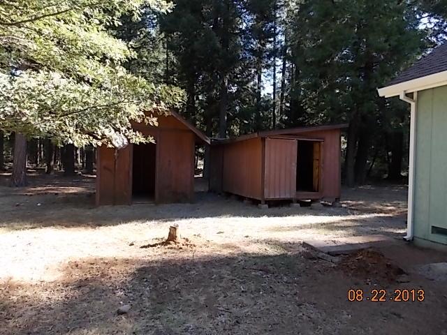 34800 Timber Ridge Road Shingletown, CA 96088 - Photo 15 of 17 SHEDS1
