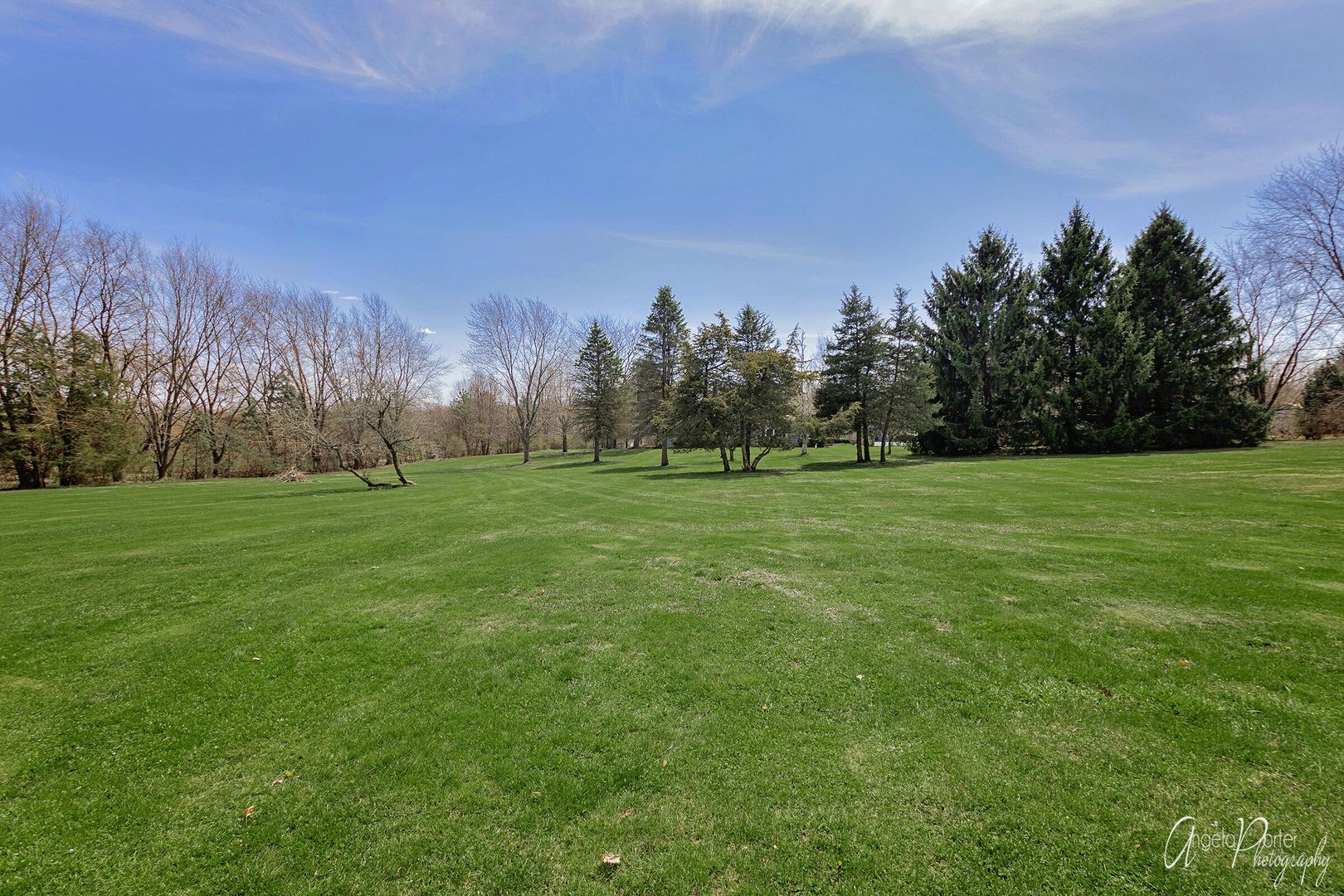1018 Sunset Road Spring Grove, IL 60081 - Photo 43 of 54 a grassy field with trees in the background
