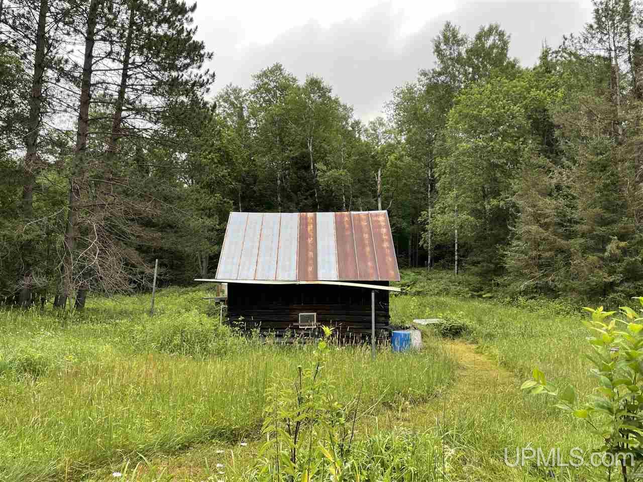 178 Carlson Road Crystal Falls, MI 49920 - Photo 29 of 37