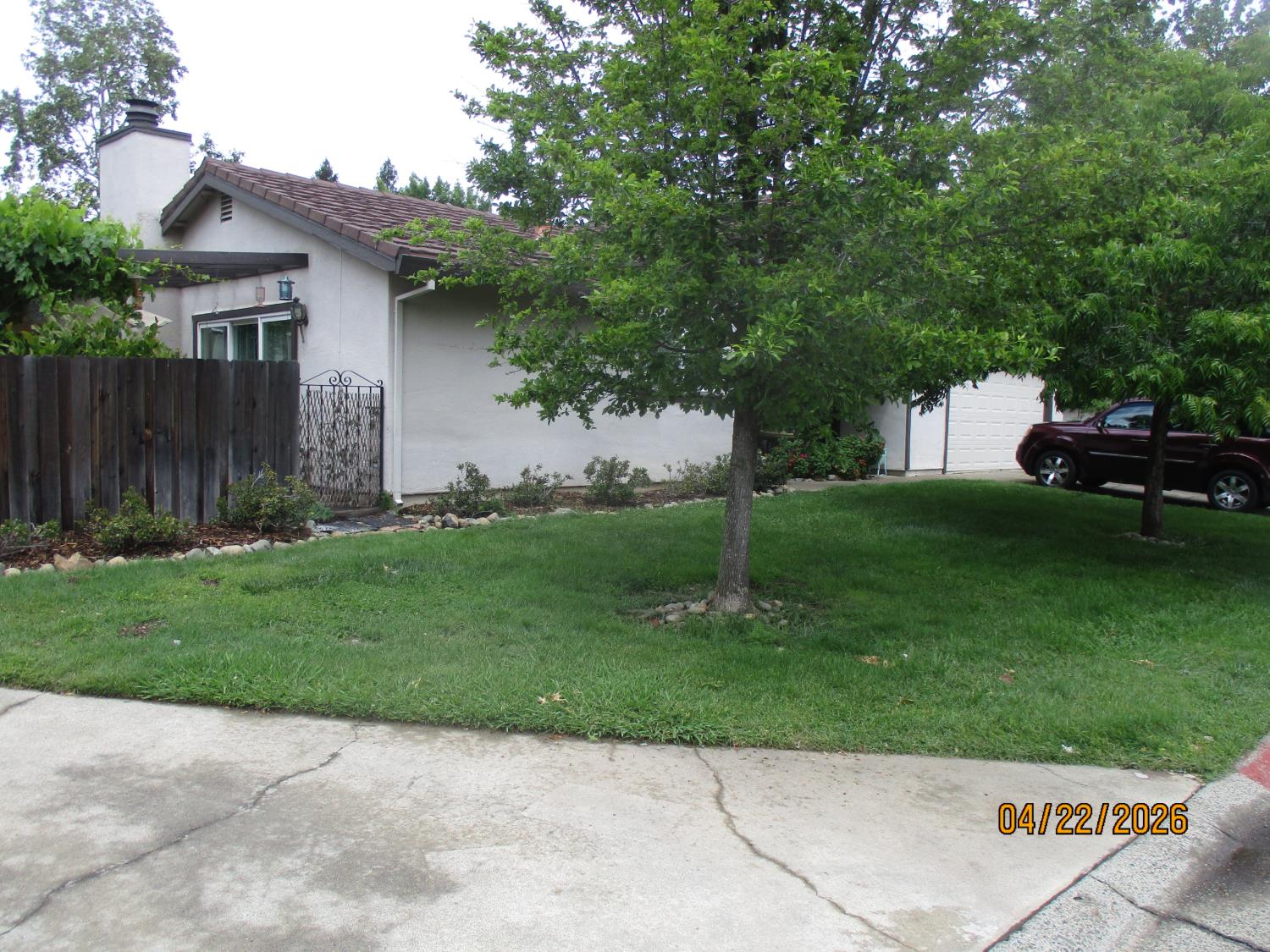 11024 Autumnwind Lane Rancho Cordova, CA 95670 - Photo 1 of 36 a backyard of a house with potted plants and large tree